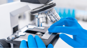 someone wearing blue gloves adjusts a slide on a microscope